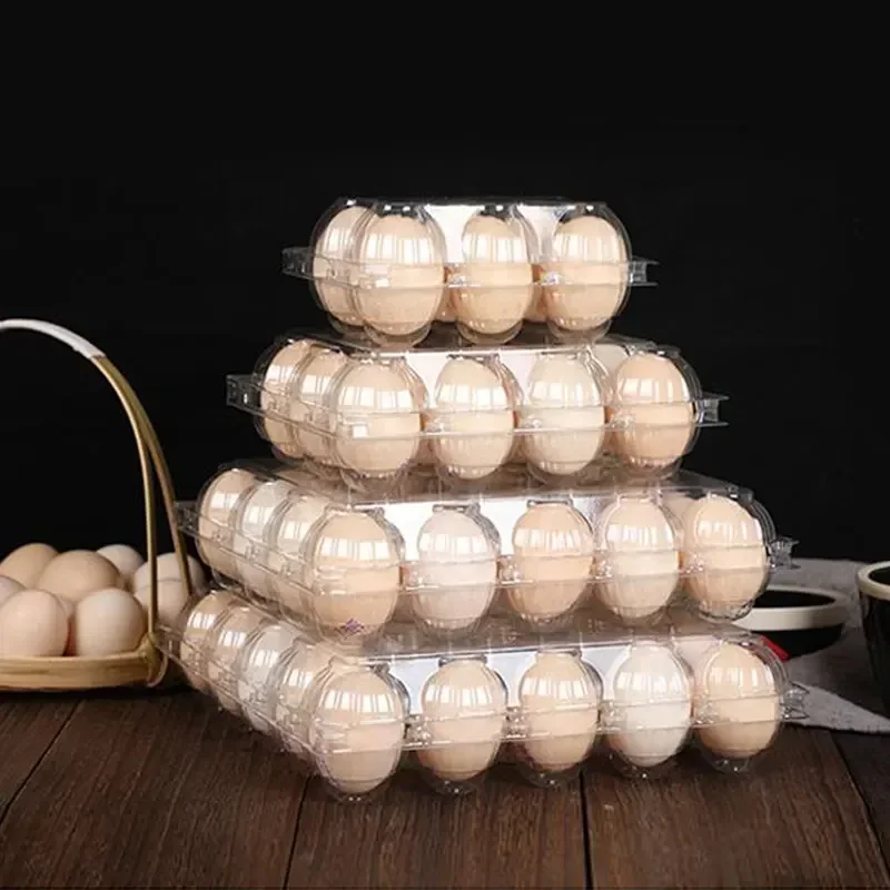 20pcs Disposable Plastic Egg B - đánh giá và giá Event Party Box