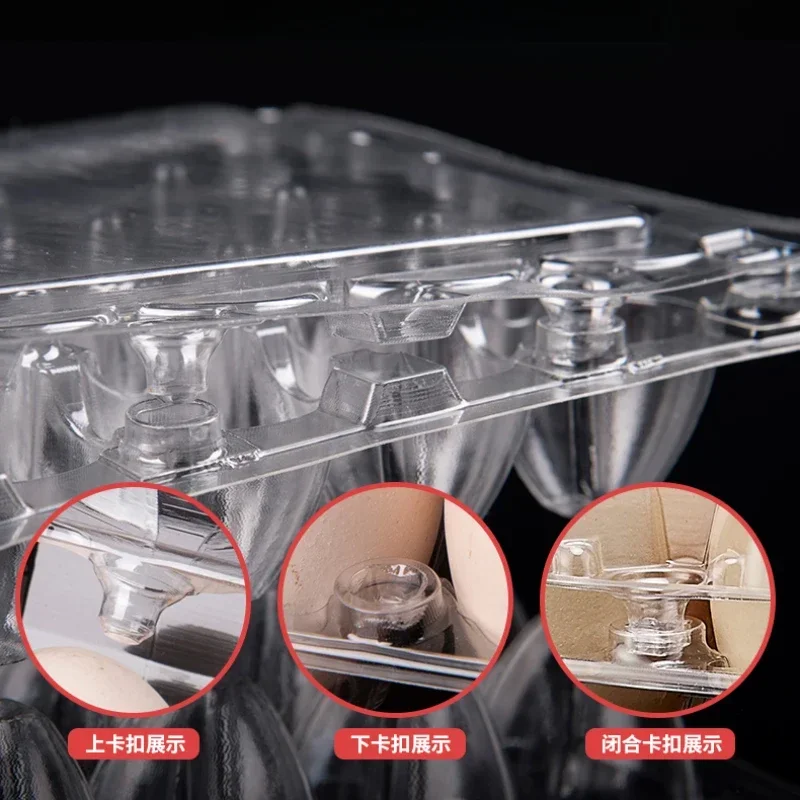20pcs Disposable Plastic Egg B - đánh giá và giá Event Party Box